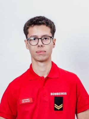 344 Afonso Delgado