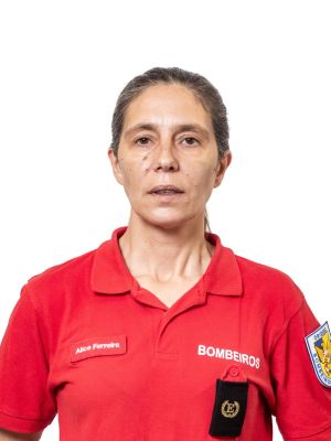 511 Alice Ferreira